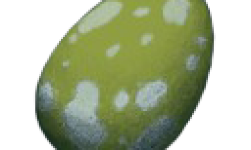 Яйцо Паука Araneo Egg