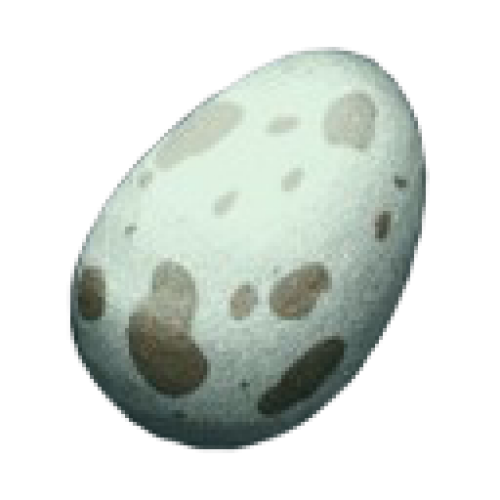 Яйцо Додо Dodo Egg