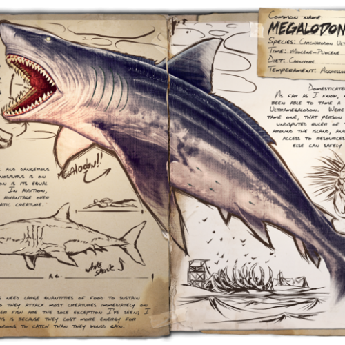 Акула. Мегалодон Megalodon