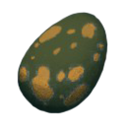 Яйцо Черепахи Turtle Egg